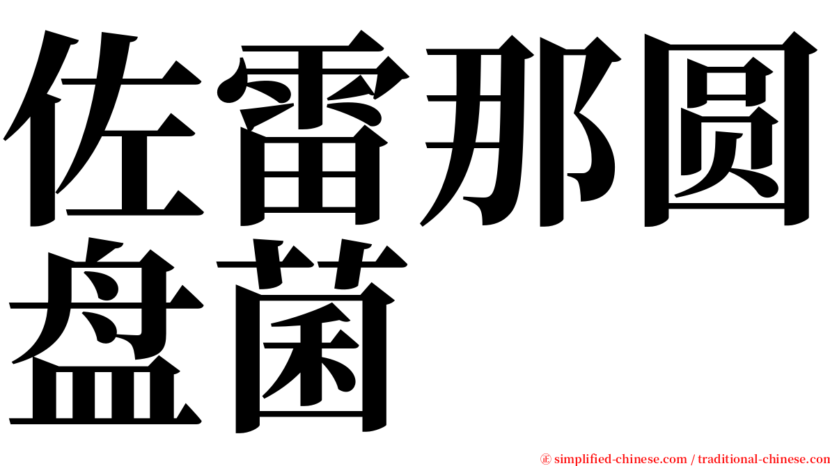 佐雷那圆盘菌 serif font