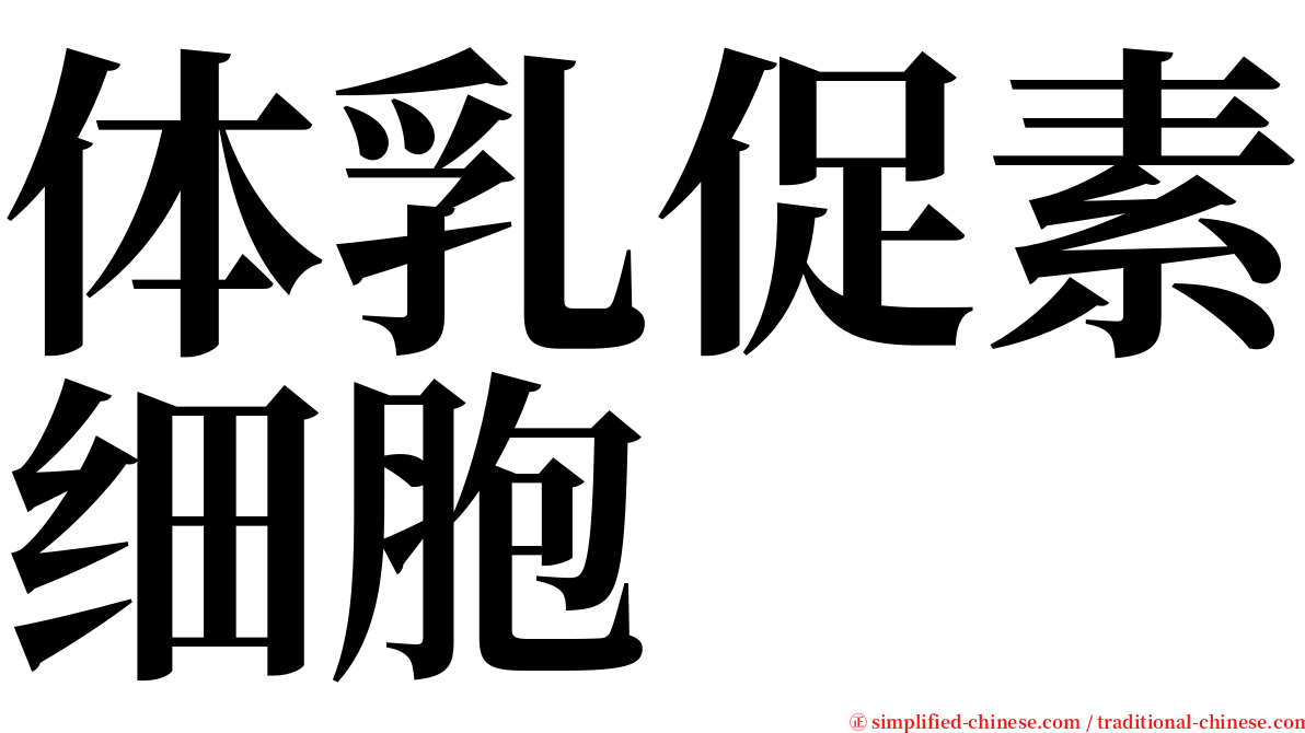 体乳促素细胞 serif font