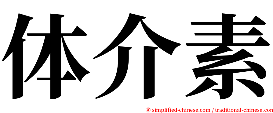 体介素 serif font