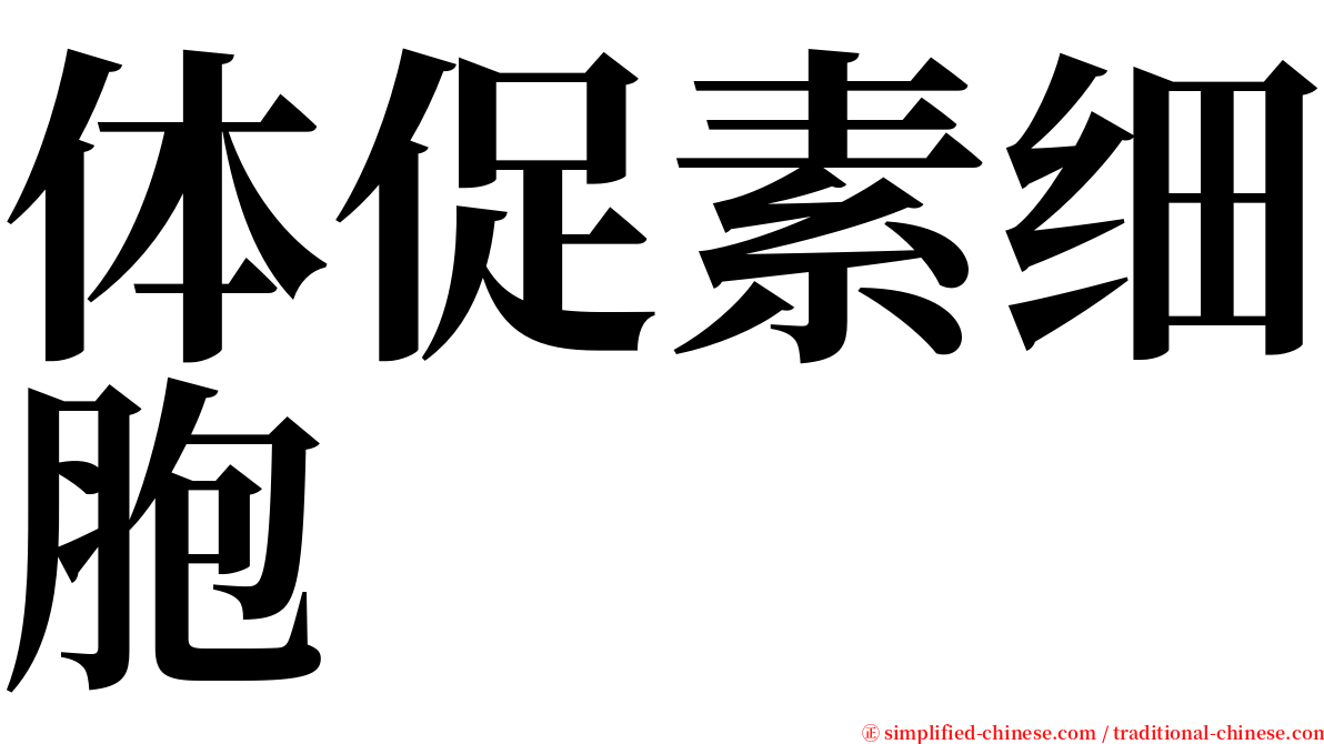 体促素细胞 serif font