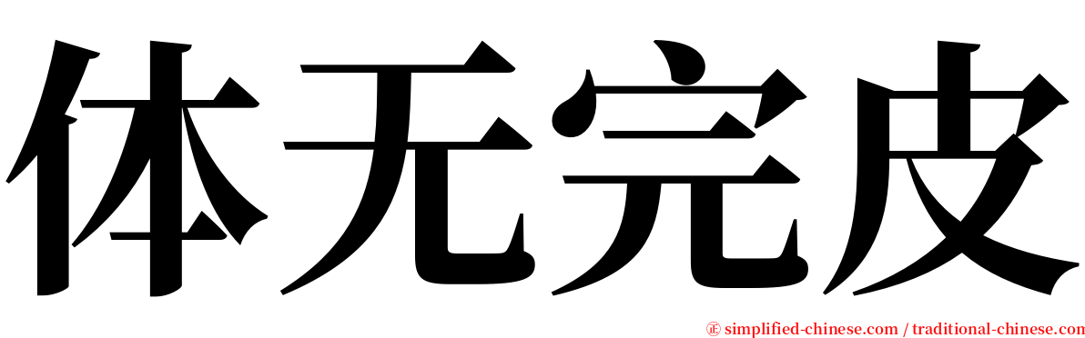 体无完皮 serif font