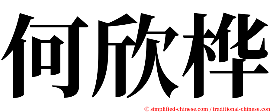 何欣桦 serif font