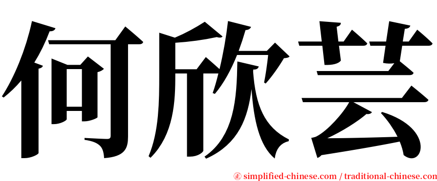 何欣芸 serif font