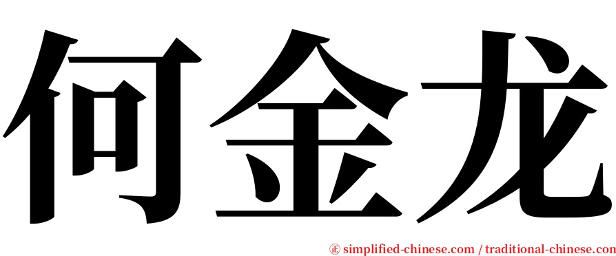 何金龙 serif font