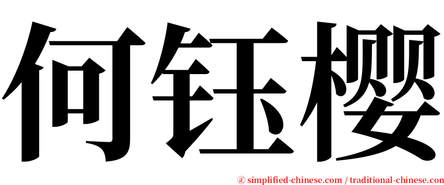 何钰樱 serif font