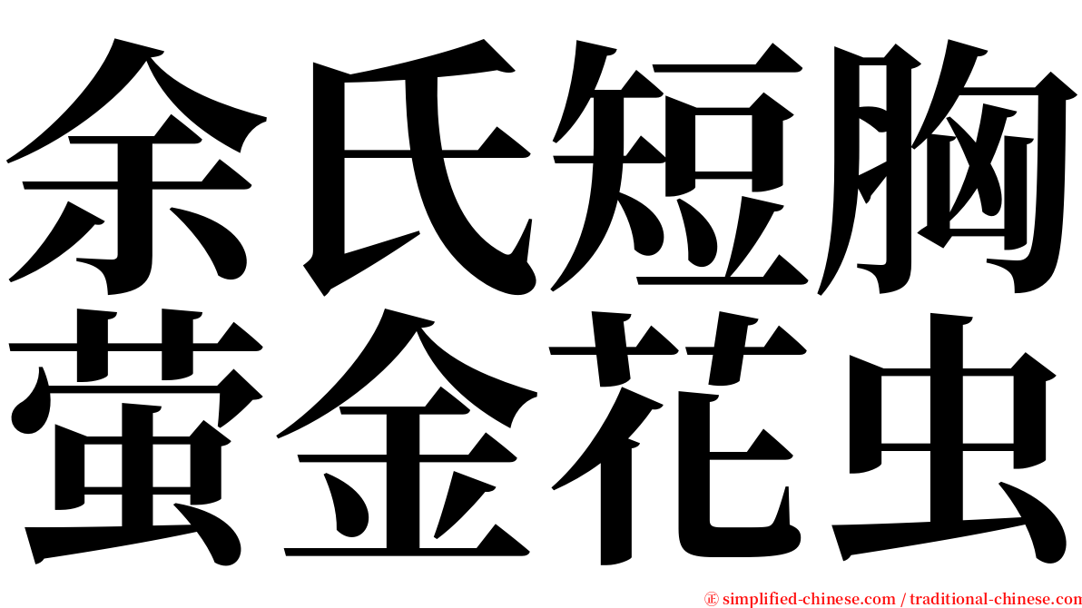 余氏短胸萤金花虫 serif font