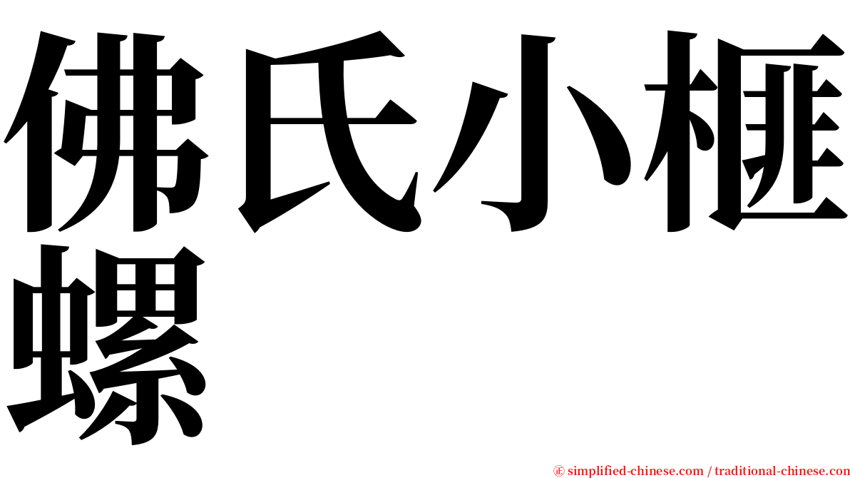 佛氏小榧螺 serif font
