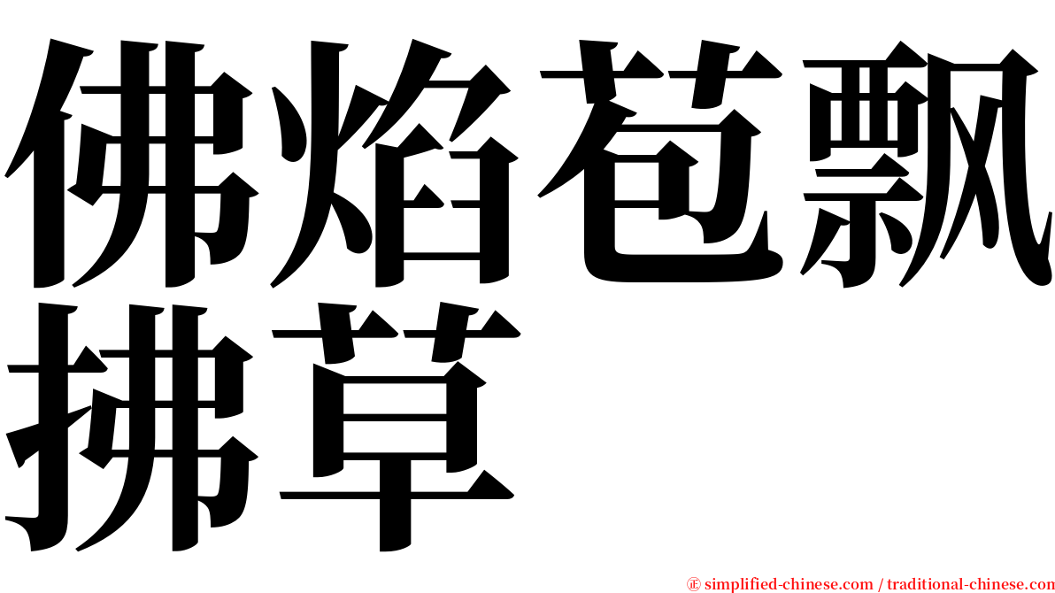 佛焰苞飘拂草 serif font