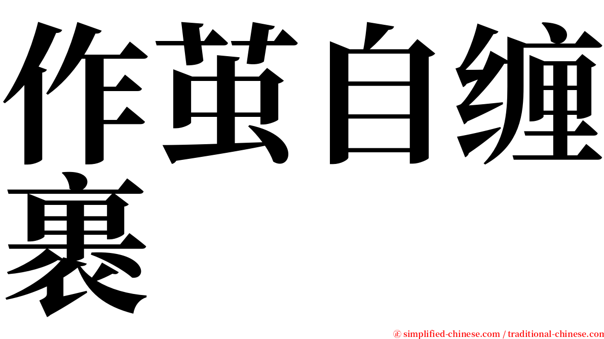 作茧自缠裹 serif font