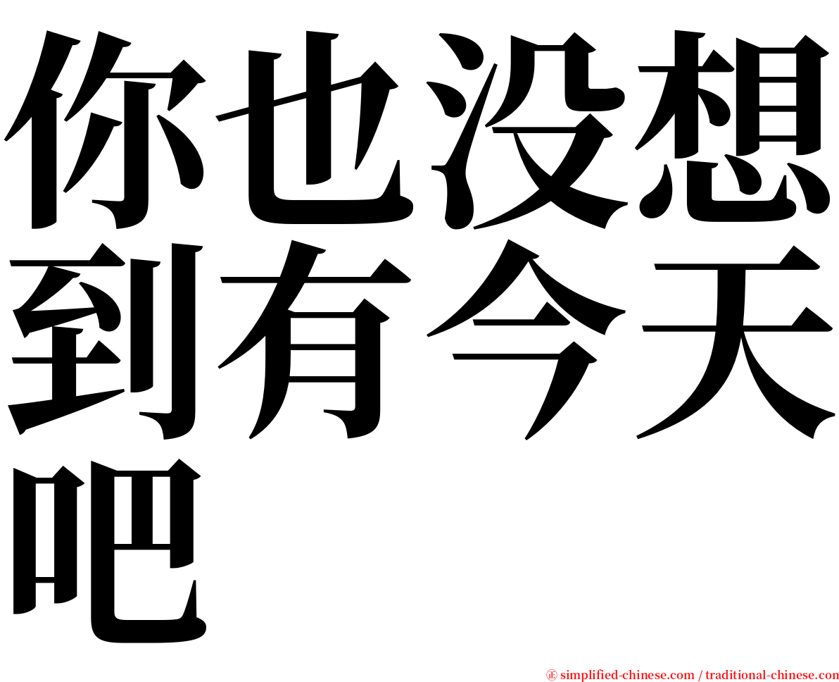 你也没想到有今天吧 serif font