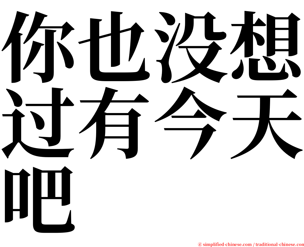 你也没想过有今天吧 serif font