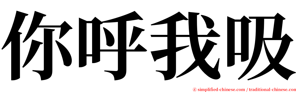 你呼我吸 serif font