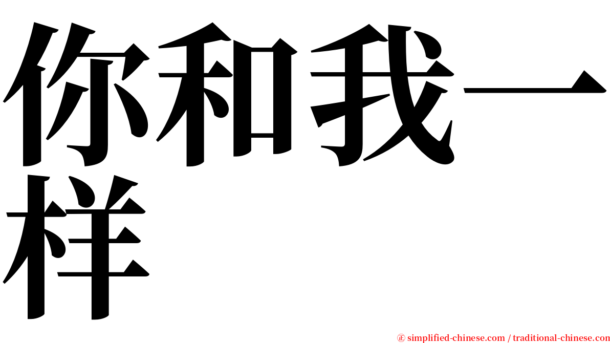 你和我一样 serif font