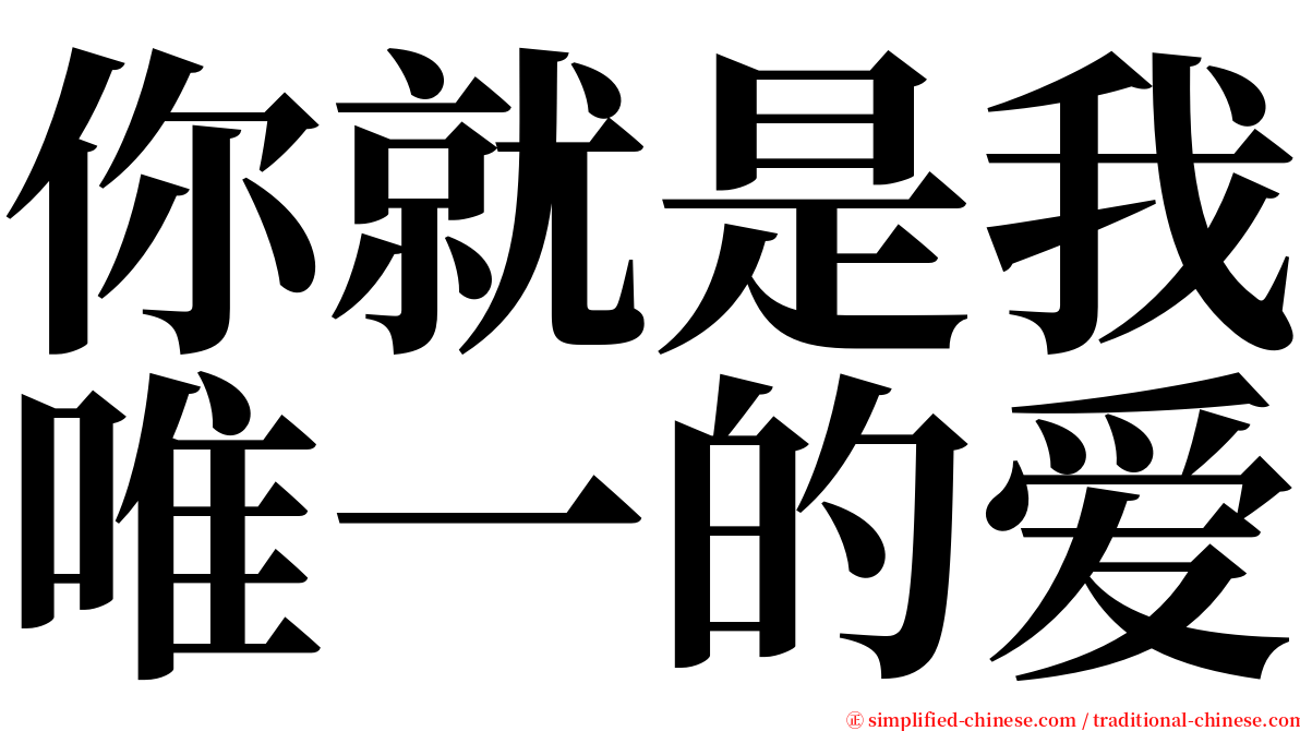 你就是我唯一的爱 serif font