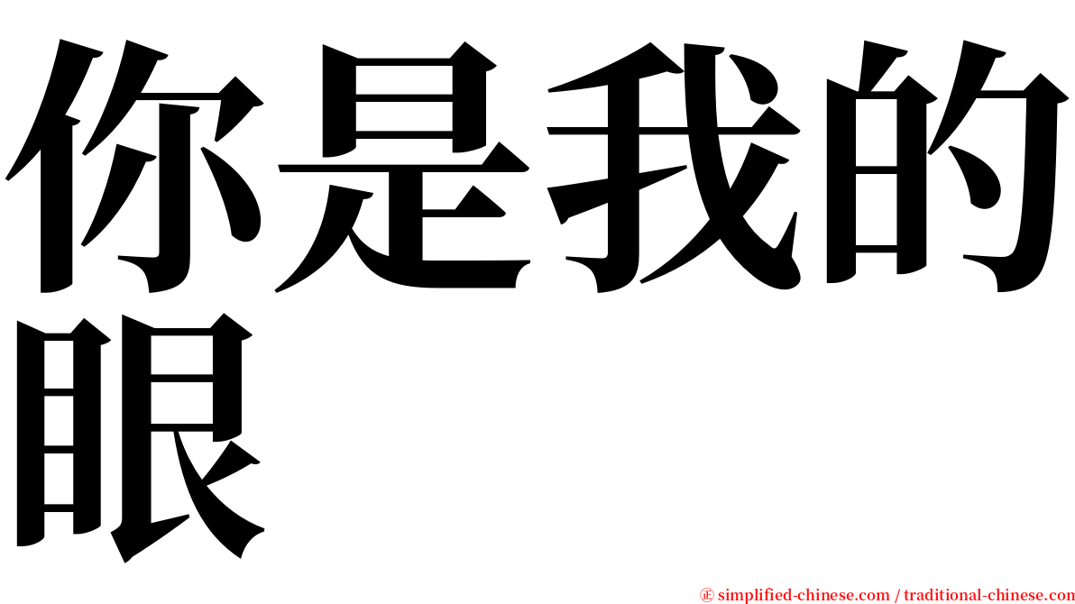 你是我的眼 serif font