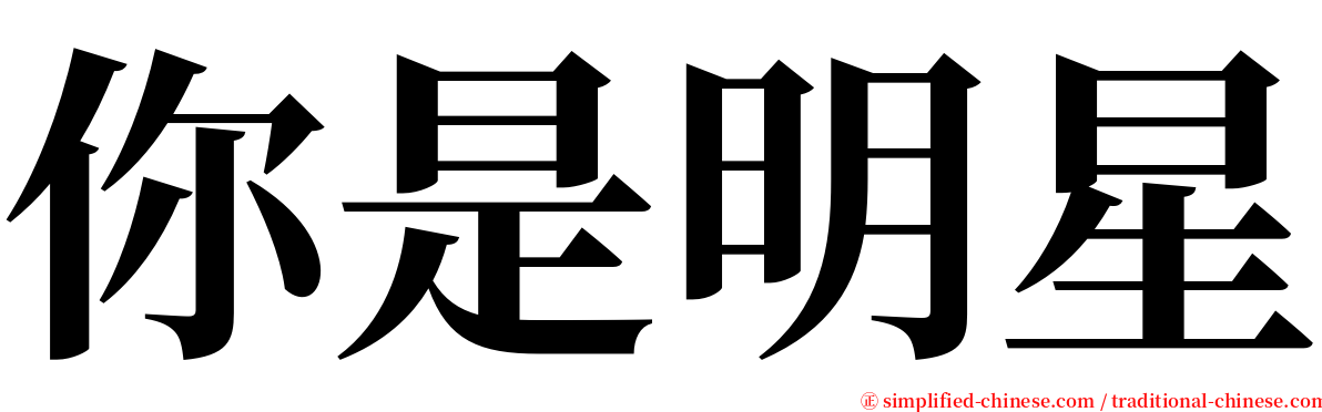 你是明星 serif font