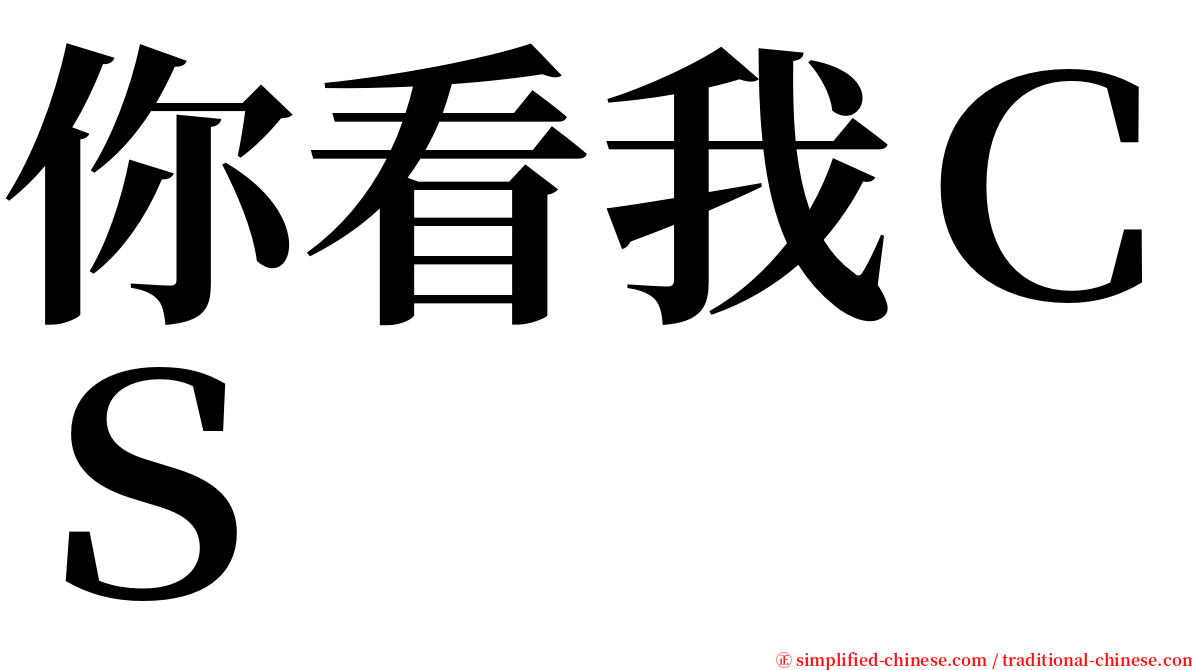 你看我ＣＳ serif font