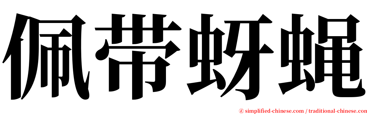 佩带蚜蝇 serif font