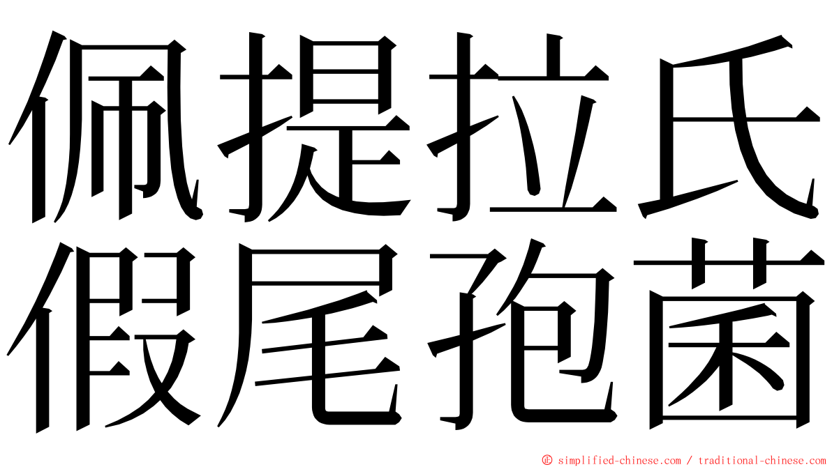 佩提拉氏假尾孢菌 ming font