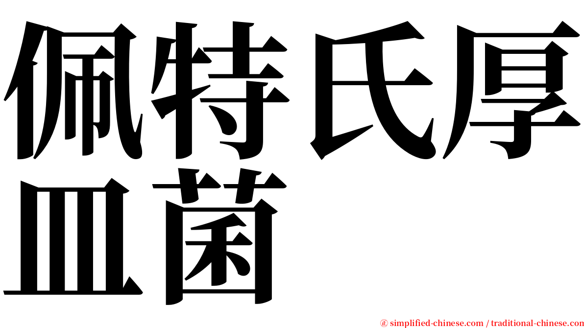 佩特氏厚皿菌 serif font