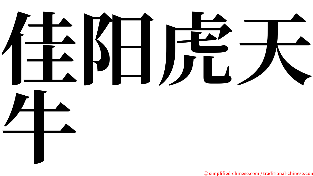 佳阳虎天牛 serif font