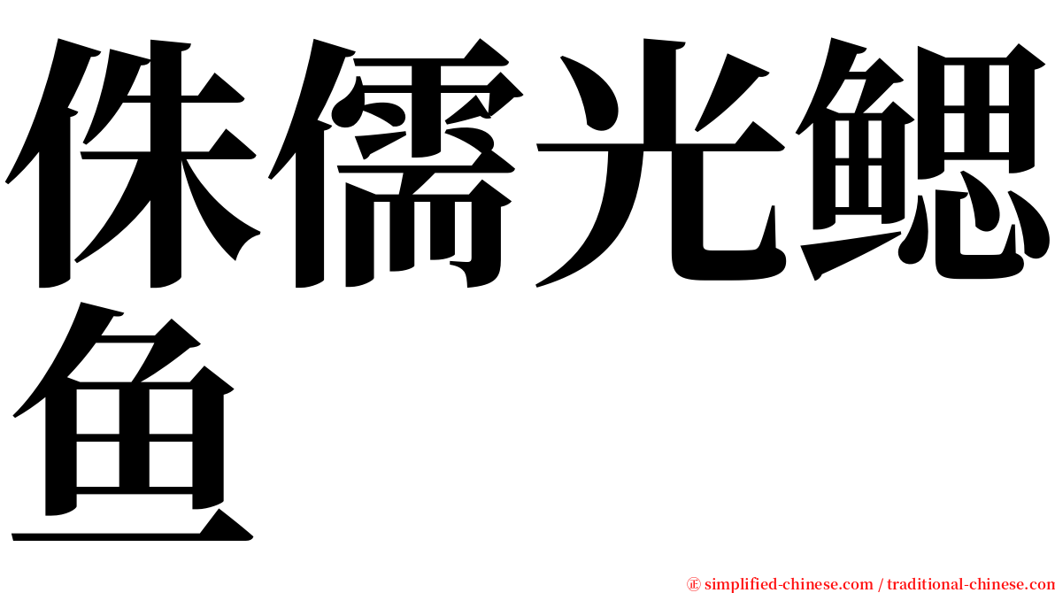 侏儒光鳃鱼 serif font