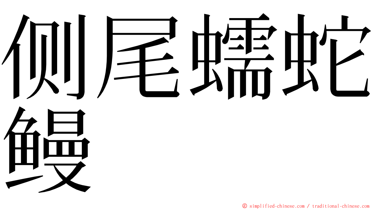 侧尾蠕蛇鳗 ming font