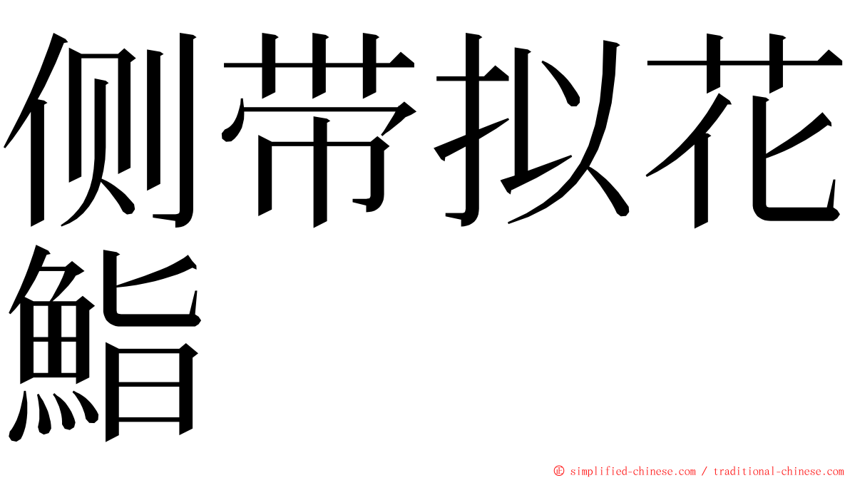 侧带拟花鮨 ming font