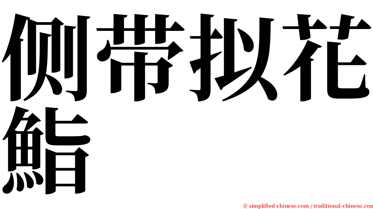 侧带拟花鮨 serif font