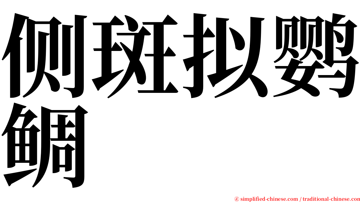 侧斑拟鹦鲷 serif font