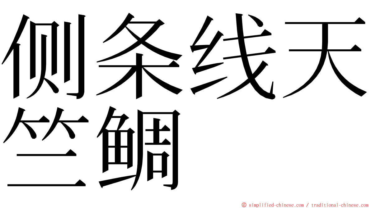 侧条线天竺鲷 ming font