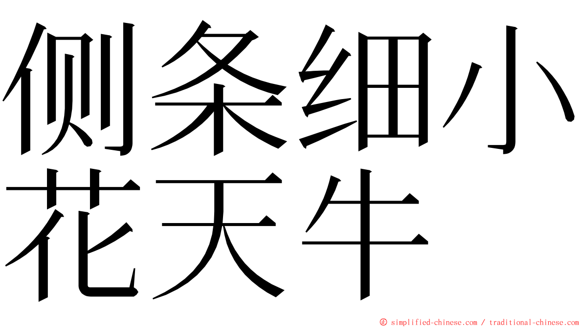 侧条细小花天牛 ming font