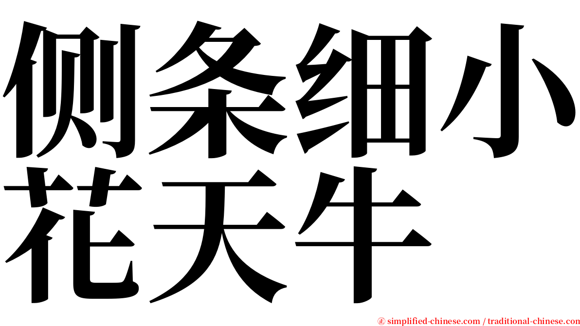 侧条细小花天牛 serif font