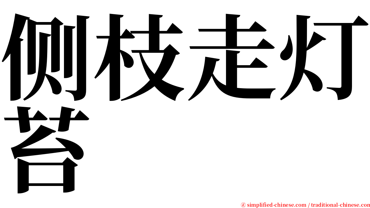 侧枝走灯苔 serif font