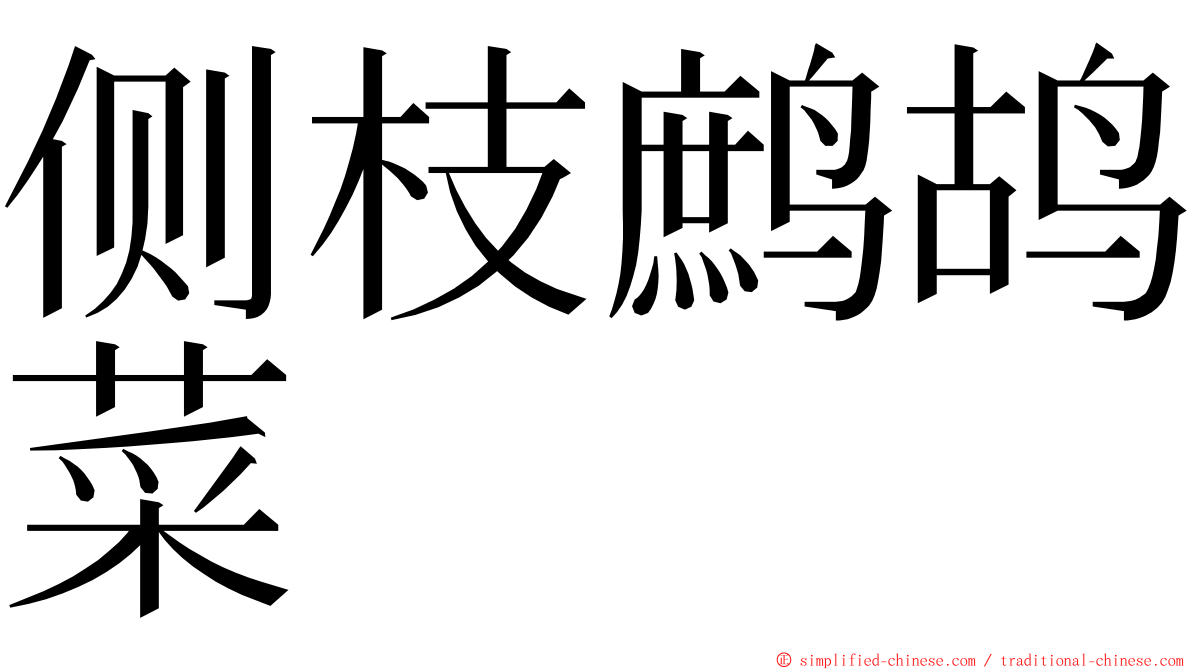 侧枝鹧鸪菜 ming font