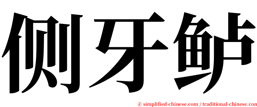 侧牙鲈 serif font