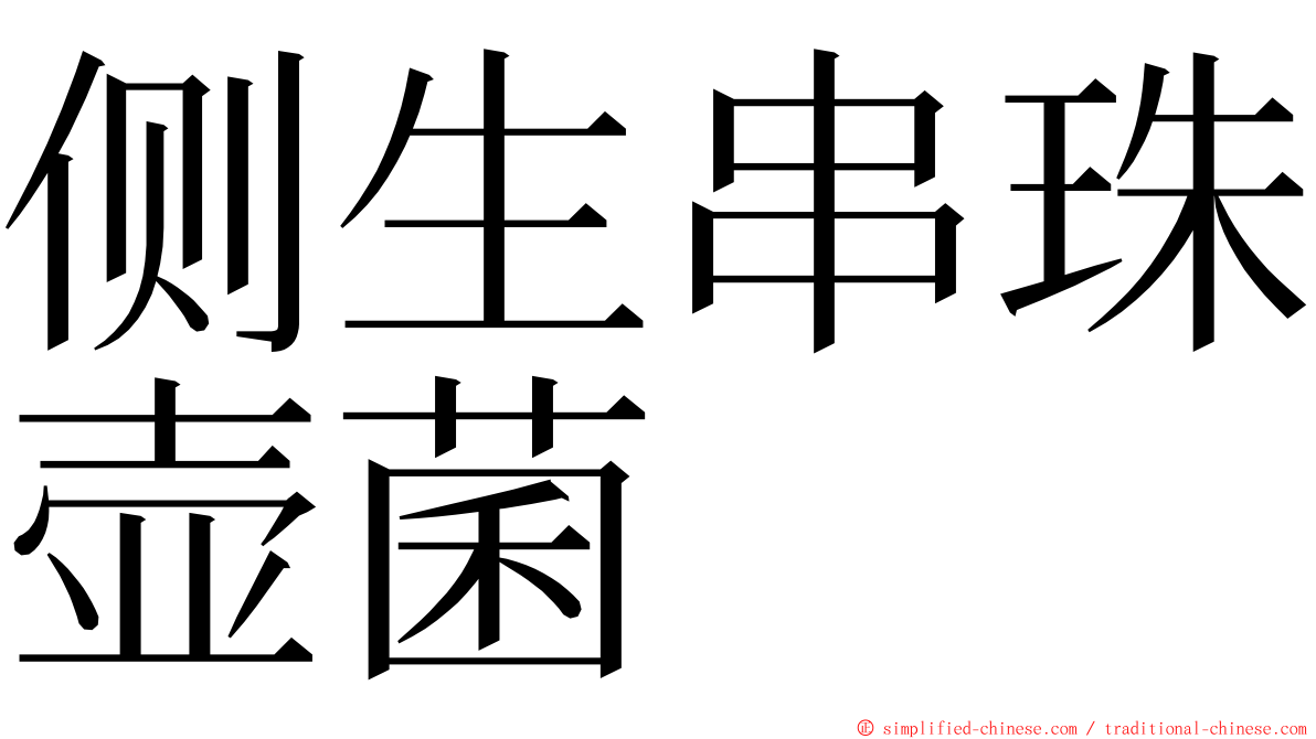 侧生串珠壶菌 ming font