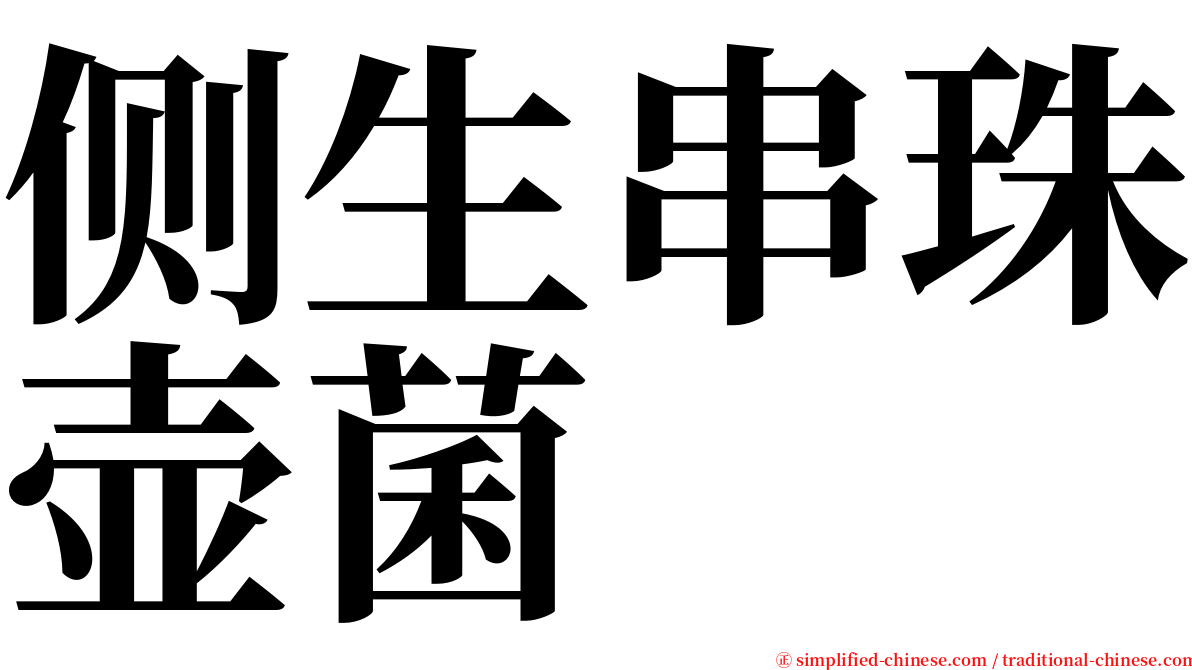 侧生串珠壶菌 serif font