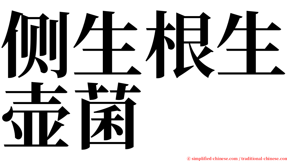 侧生根生壶菌 serif font