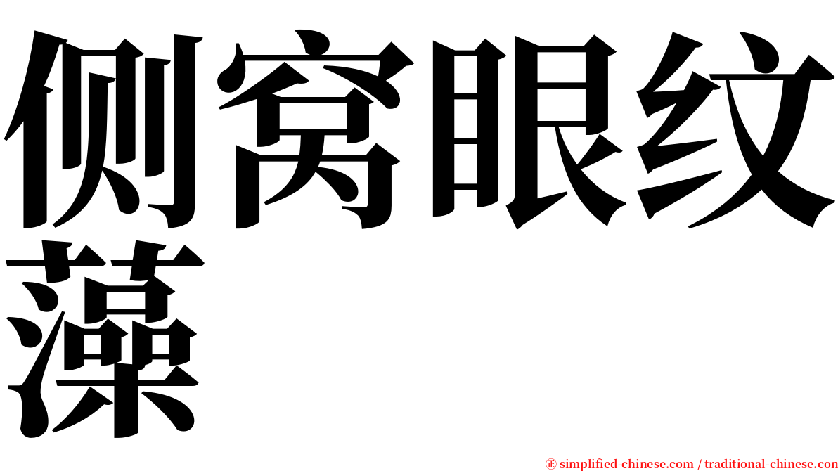 侧窝眼纹藻 serif font