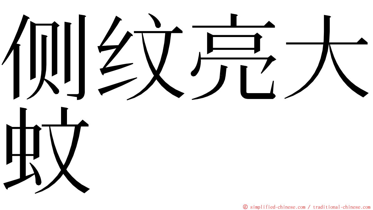 侧纹亮大蚊 ming font