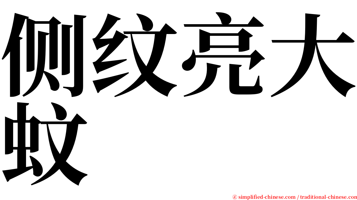 侧纹亮大蚊 serif font