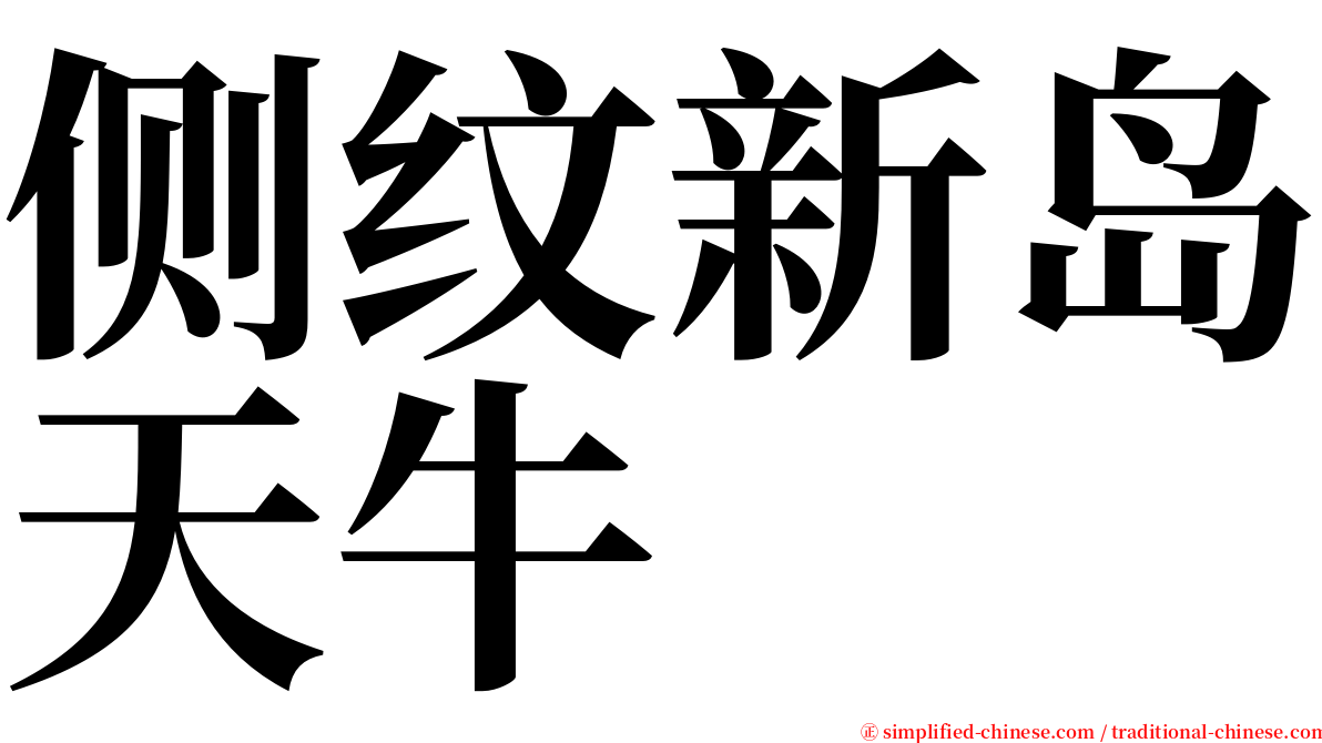 侧纹新岛天牛 serif font