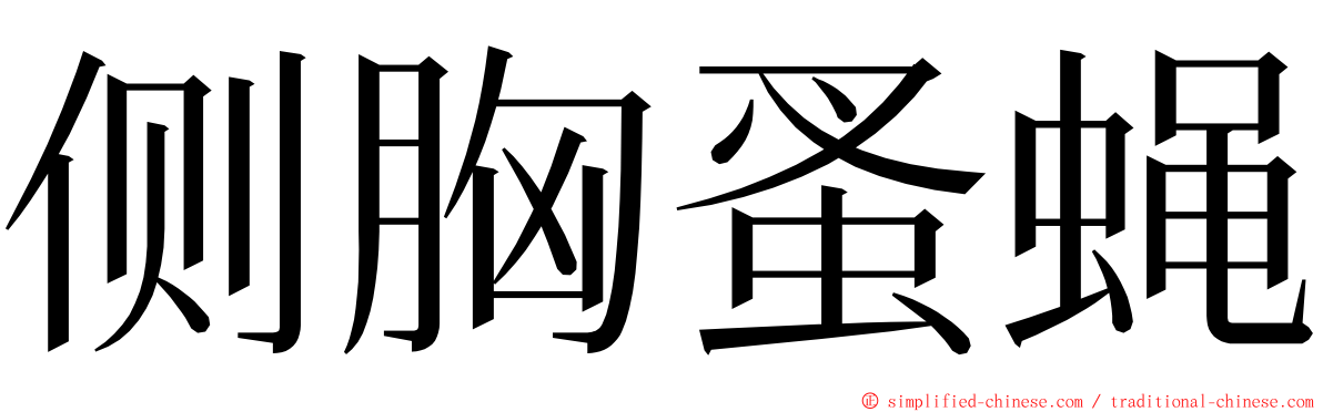 侧胸蚤蝇 ming font