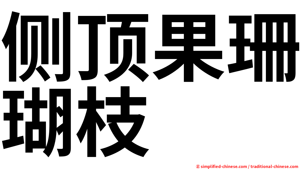 侧顶果珊瑚枝