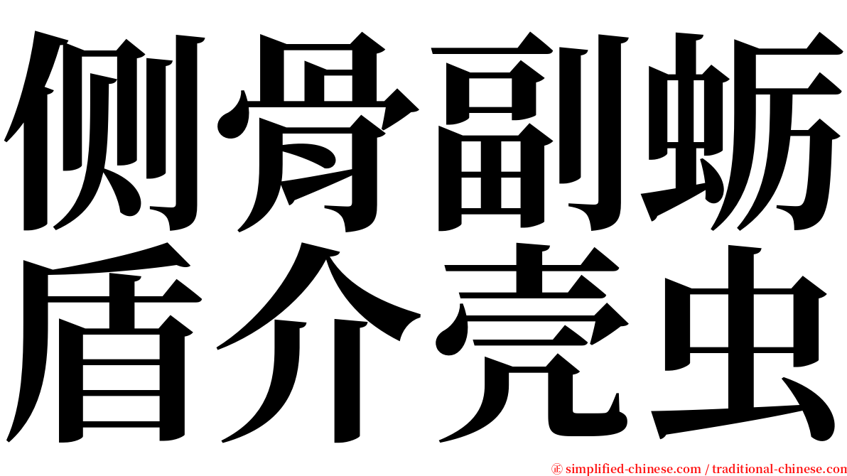 侧骨副蛎盾介壳虫 serif font