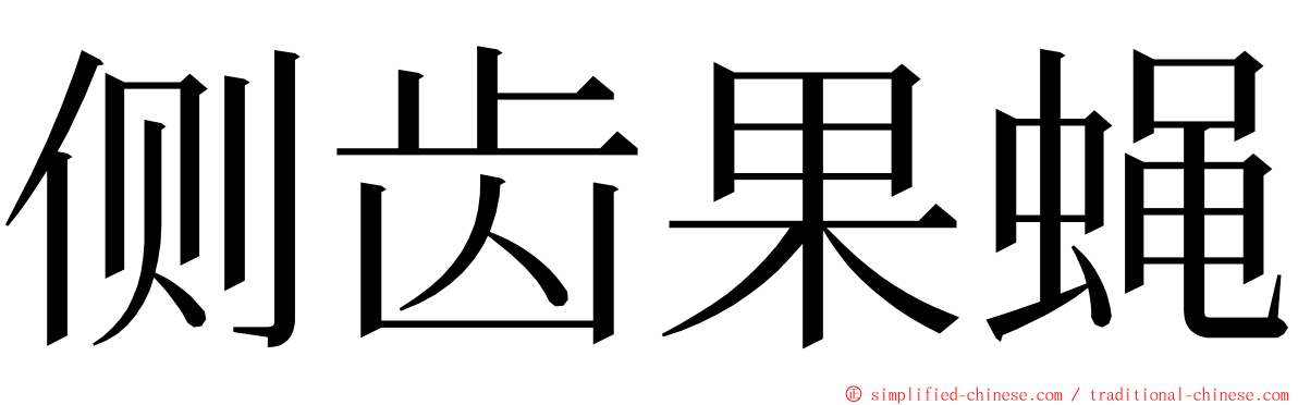 侧齿果蝇 ming font