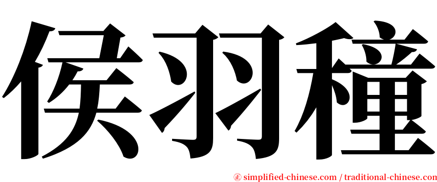 侯羽穜 serif font