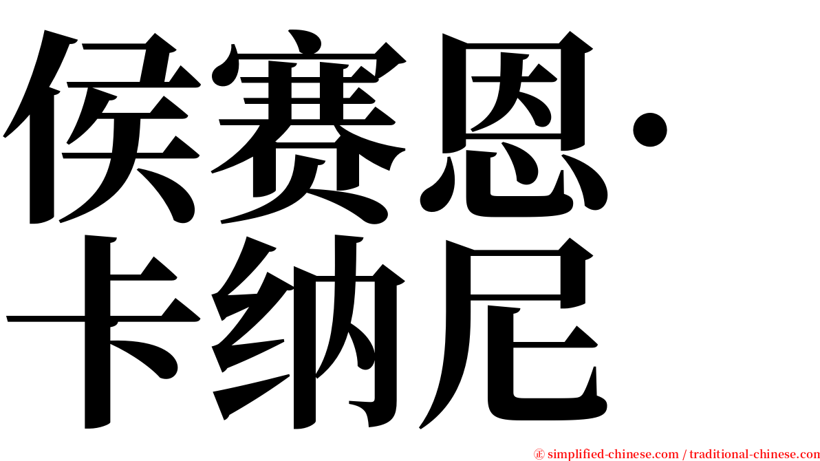 侯赛恩·卡纳尼 serif font