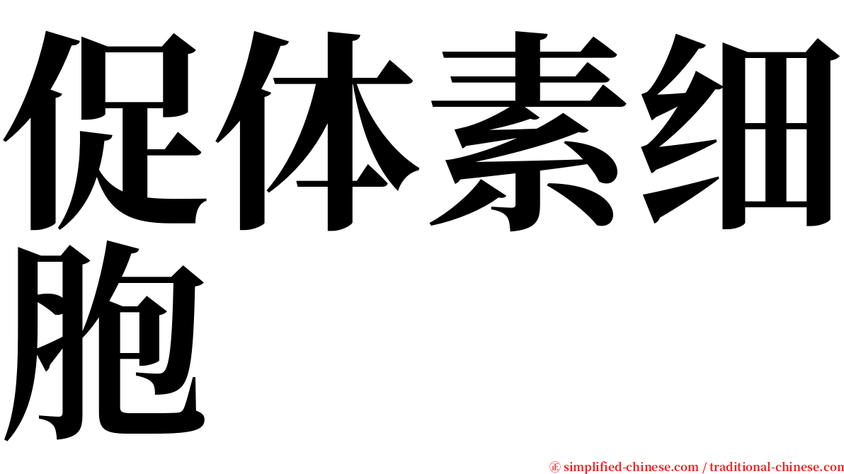 促体素细胞 serif font